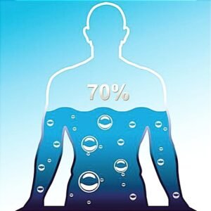 human water level water circulation in body