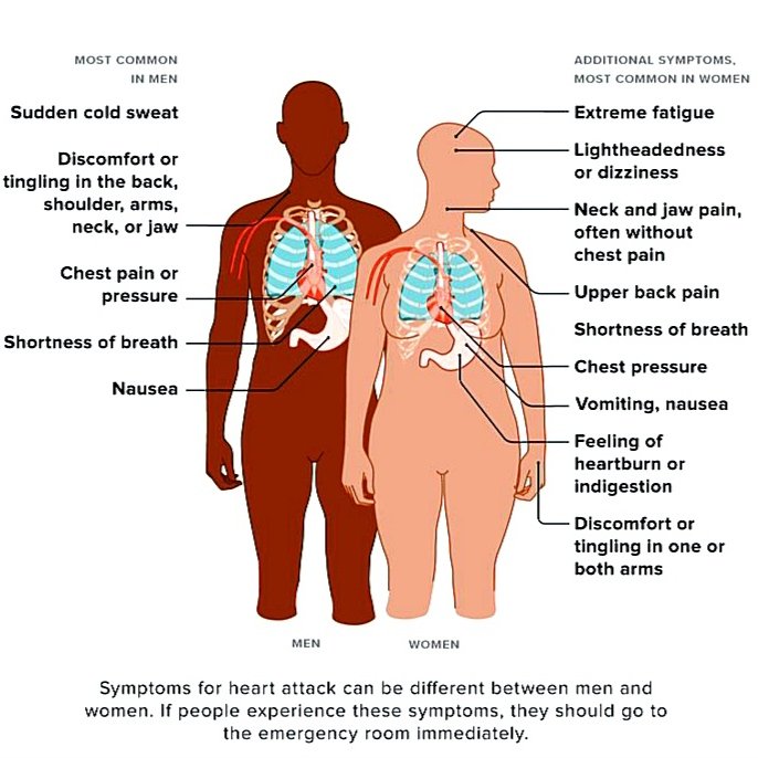 heat wave and heart problems symptoms