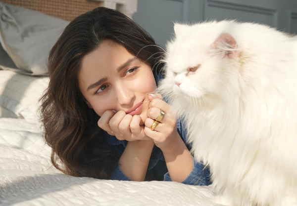 Celebrity diet and workout dog lover alia